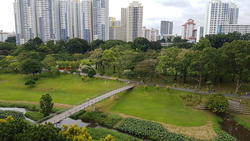 Blk 242 Bishan Street 22 (Bishan), HDB 5 Rooms #152596392